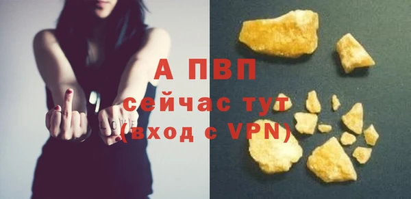 PSILOCYBIN Осташков