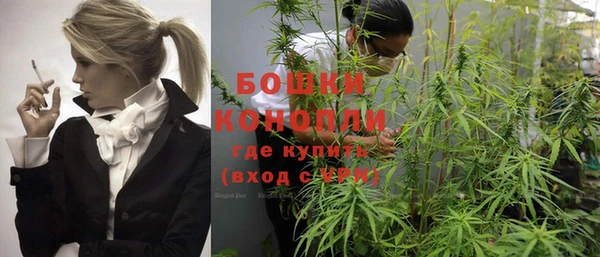 PSILOCYBIN Осташков