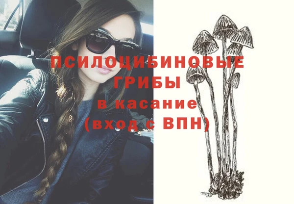 mix Осинники