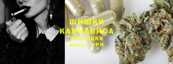 PSILOCYBIN Осташков