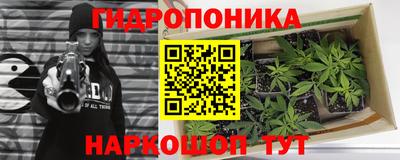 ПСИЛОЦИБИНОВЫЕ ГРИБЫ Будённовск