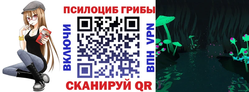 продажа наркотиков  Сорочинск  Галлюциногенные грибы MAGIC MUSHROOMS 