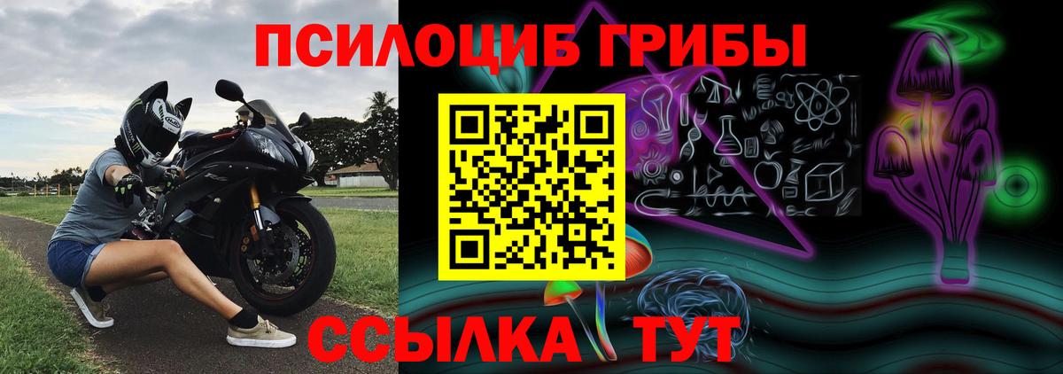 Псилоцибиновые грибы Psilocybe Сорочинск